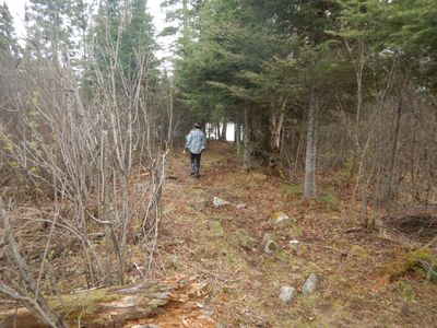 approaching Swallow Lake