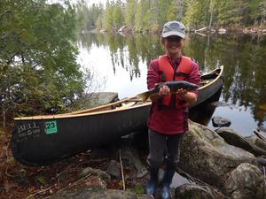 Meeds Lake walleye