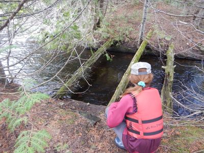 old bridge just off the portage trail