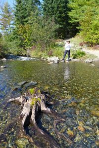 Knife side of portage into knife lake