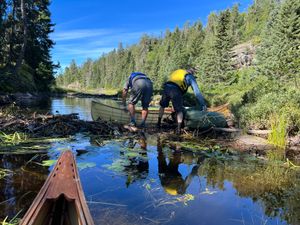 2022-09-03_049_Woodland_Caribou_Leano_Creek_Beaver_Dam.JPG