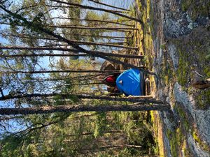 Campsite