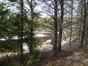 Snowy River Scene