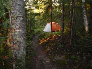 DSCN5165.jpg