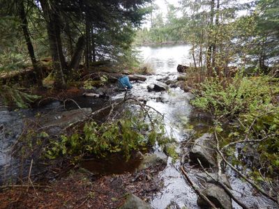 rapids on the portage