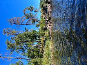 Campsite