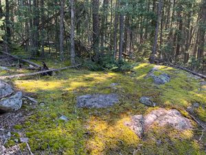 Campsite