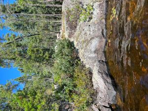 Campsite