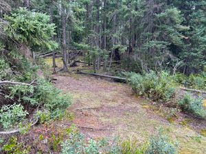 Campsite