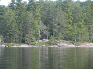 Campsite #13J