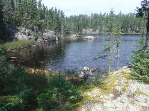 2022-09-06_045_Woodland_Caribou_New_Bunny_Campsite.JPG