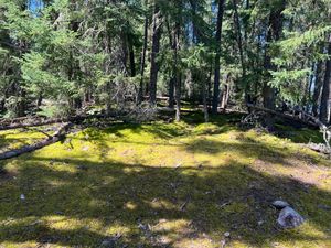 Campsite