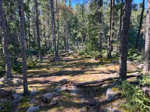 Campsite