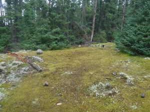 2022-09-08_067_Woodland_Caribou_New_KU-KL_Campsite.JPG