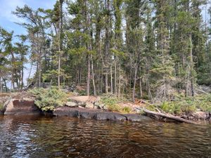 2022-09-08_071_Woodland_Caribou_New_KU-KL_Campsite.JPG