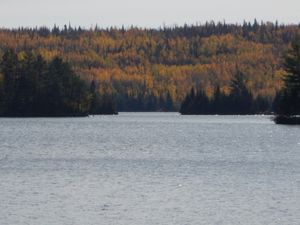 Fall colors