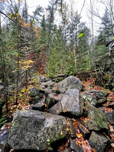 IMG_3936_Copy.JPG