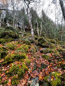 IMG_3939_Copy.JPG