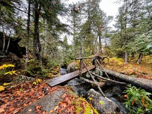 Portage