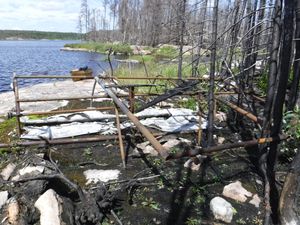 Old wild rice harvesting machine exposed by 2021 Fire