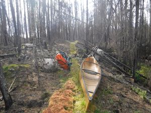 Green portage trial through burnt forest