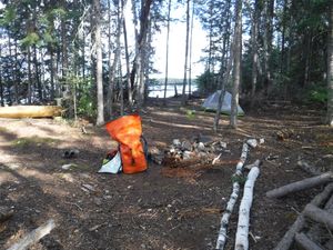 Knox Lake island campsite looking east