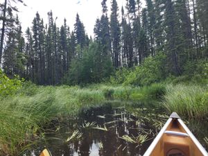 Plouff Creek in August