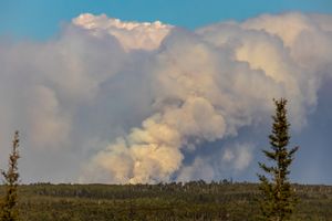 Greenwood Fire (August 2021)