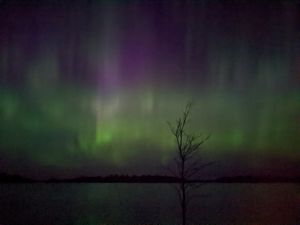 LLC Northern Lights (Site #160)