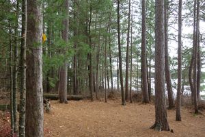 Campsite #12