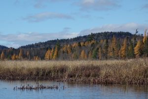 Near the Charley Pond outlet