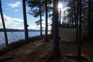 View of campsite #11