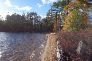 Beach near campsite #11