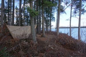 View of campsite #11