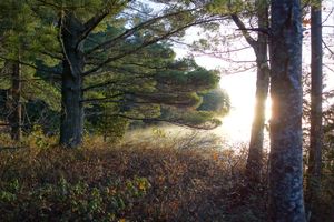 Sunrise at campsite #2