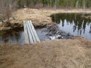 Diana Lake Crossing