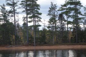 Beach near campsite #11