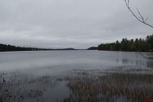 Looking up the lake