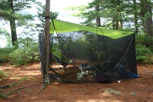 bug shelter