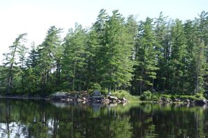 The island on Rock Pond
