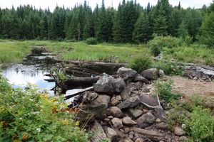 Obstacle on Rock Pond Outlet