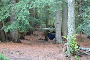 Hammock on campsite #6