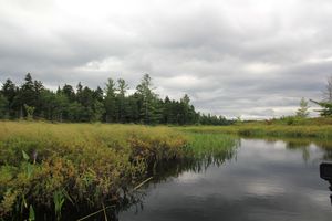 Rock Pond Outlet