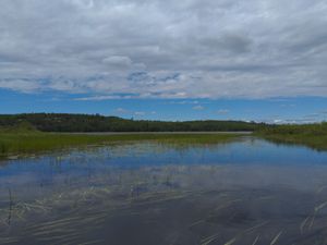 Moose River mouth, opening into Nina Moose Lake