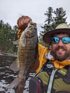 Boulder River Smallie