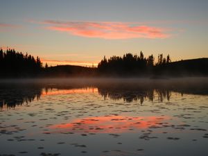 Foggy Sunrise