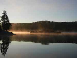 Foggy Morning