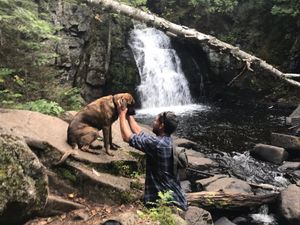 Puppy love