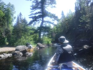 2022_BWCA_-_Day_5_-_Kawishiwi_River_Swifts.JPG