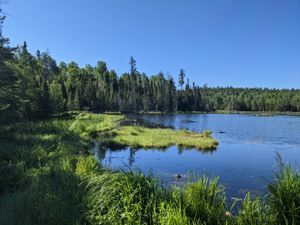 Beaver Dam